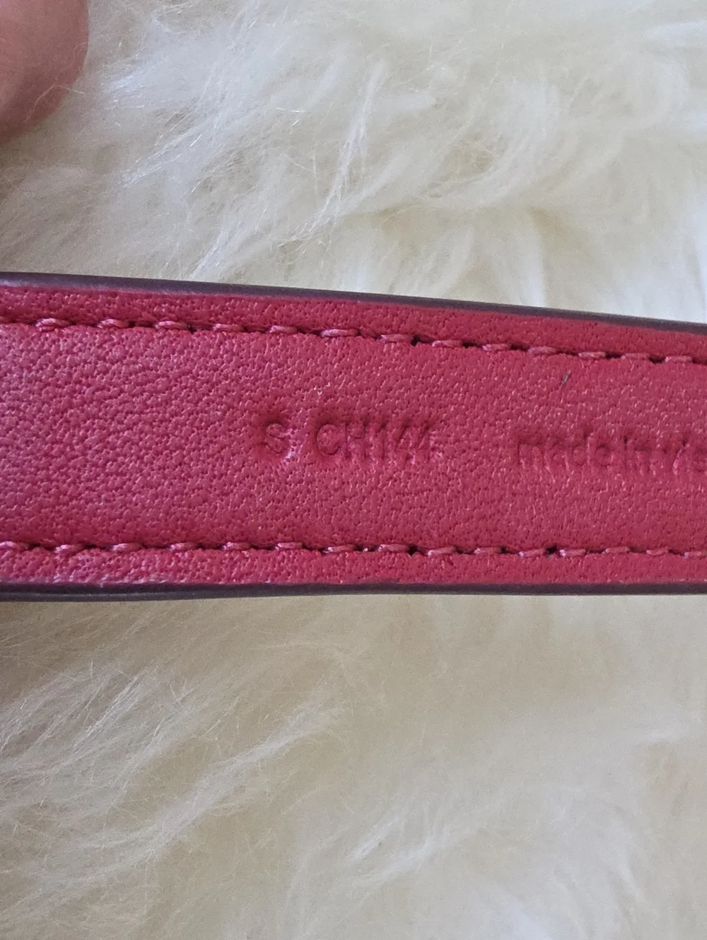 Adorable NWT IOB Coach Brown Signature Small Dog Collar 🤎🍖🖤🐕♥️🐾🎁
